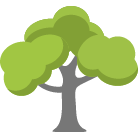 Clearfield Tree Trimming