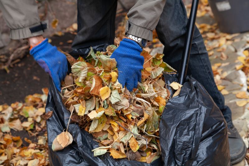 Leaf Collection at Dusk