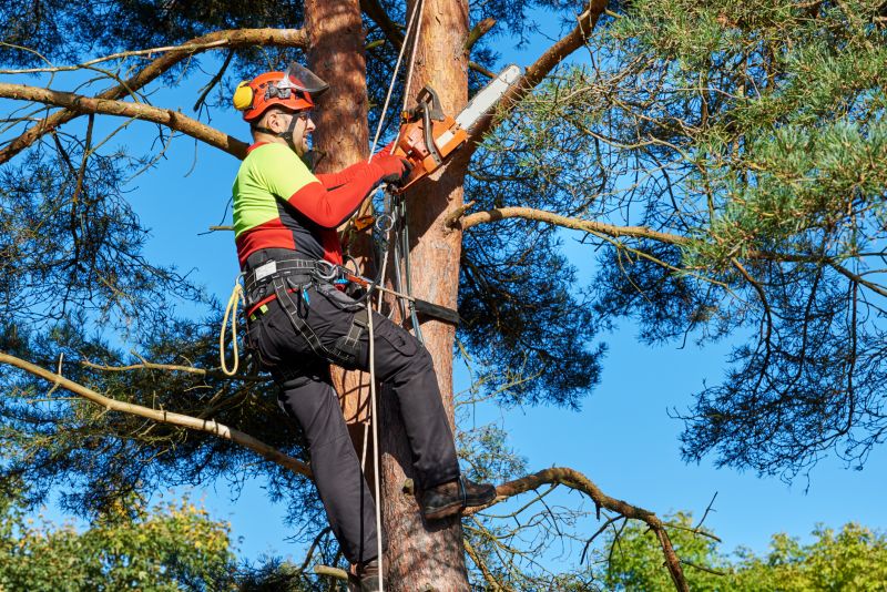 Emergency Tree Service Equipment