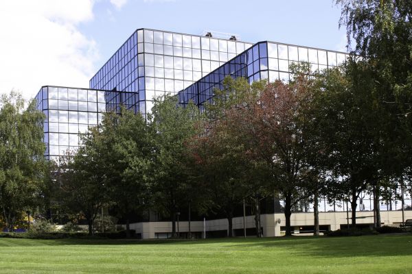 Cost of Commercial Tree Trimming in Clearfield